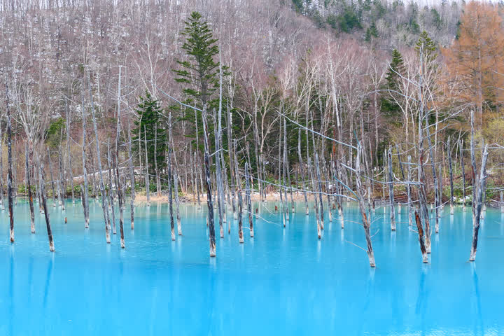 Biei Blue Pond